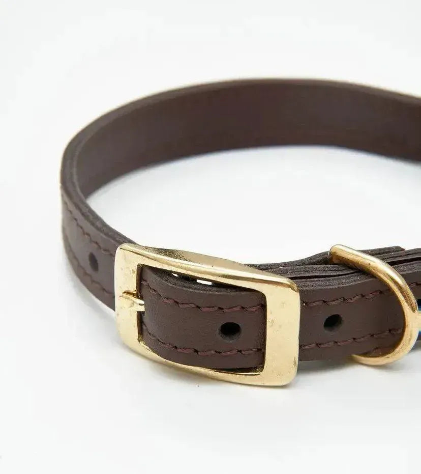"Classy" dog collar - elegance, durability and hand-made