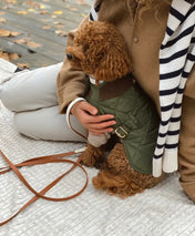 Dog leash "BioThane" - light brown with white