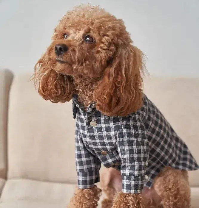 Striped Dog Shirt - 100% Cotton, Hand Sewn, Black