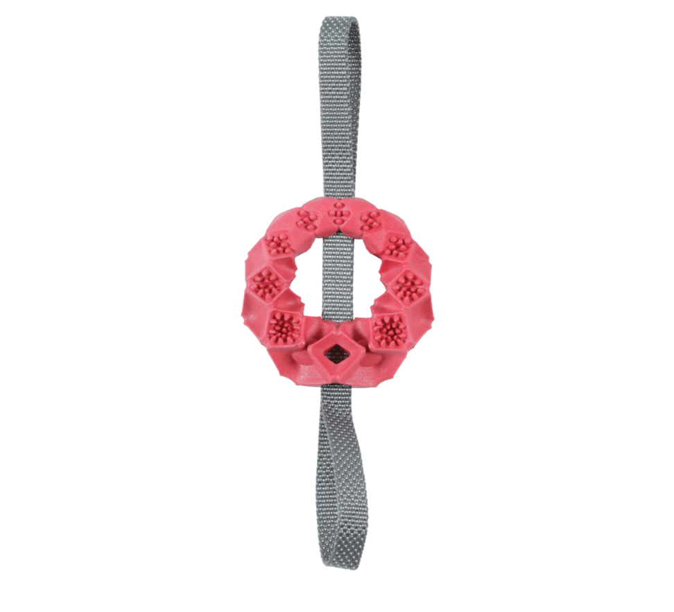 ZOLUX TPR Outdoor Ring Toy for Dog