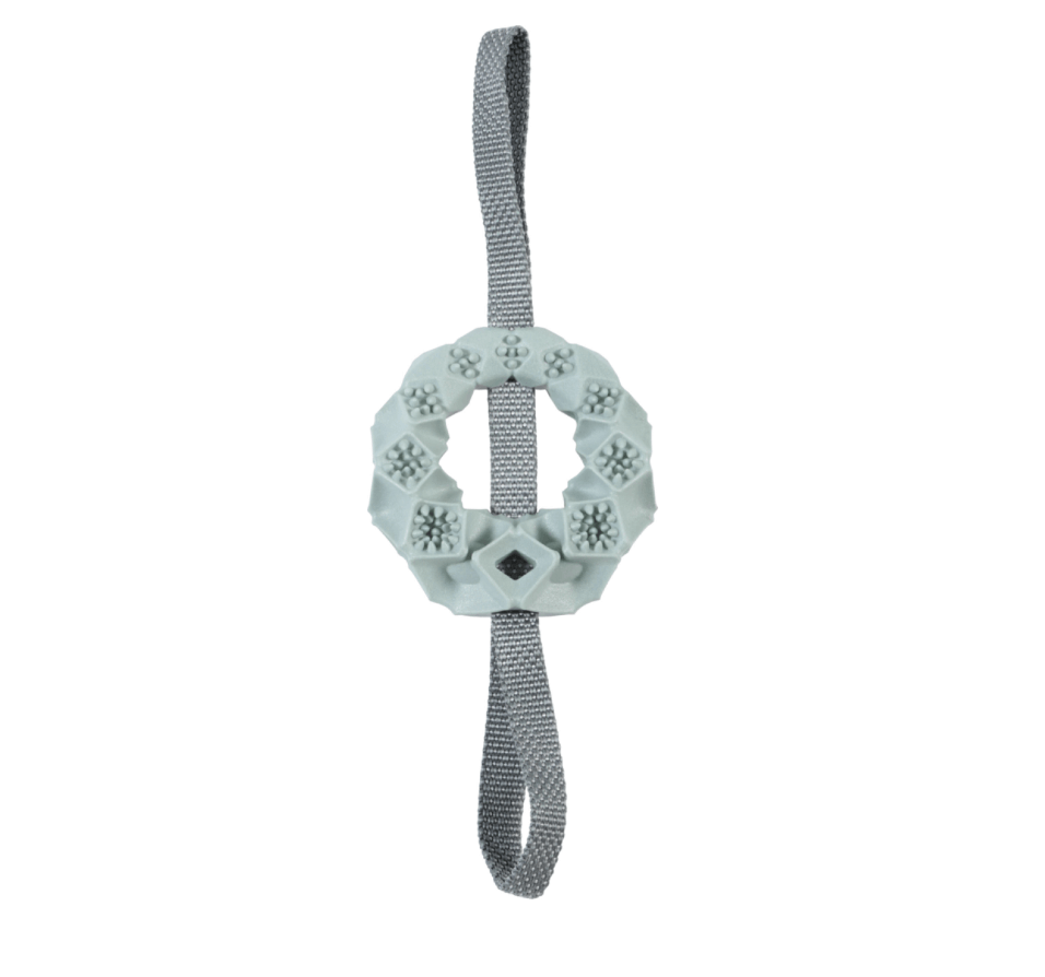 ZOLUX TPR Outdoor Ring Toy for Dog