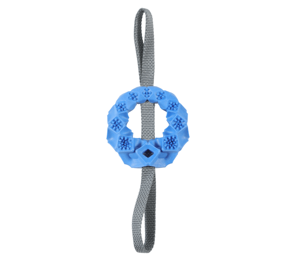 ZOLUX TPR Outdoor Ring Toy for Dog