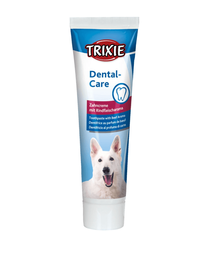 Meat Flavored Dog Toothpaste 100g