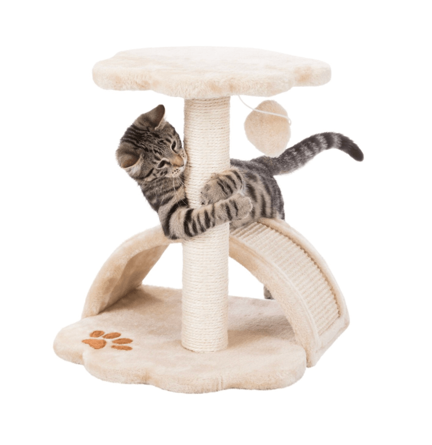 Vitoria JUNIOR Scratching Post 43 cm – for young cats