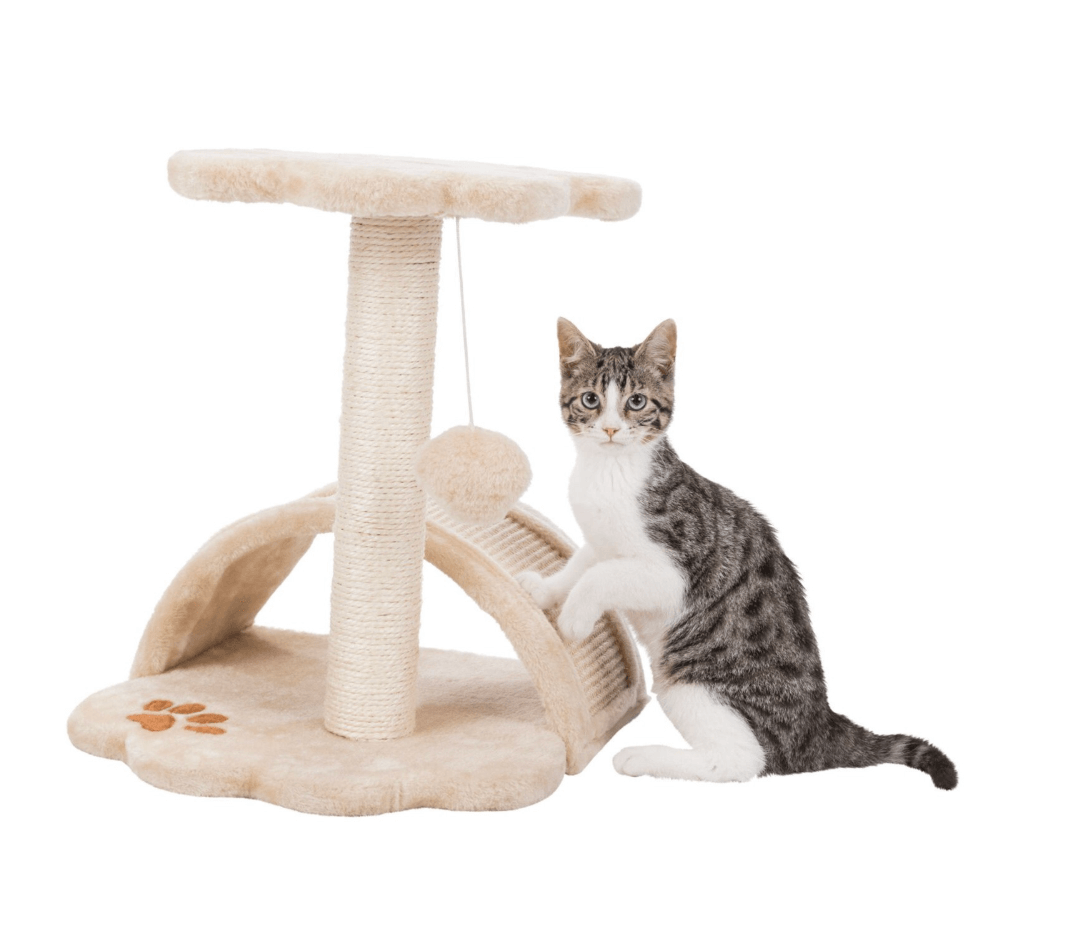 Vitoria JUNIOR Scratching Post 43 cm – for young cats