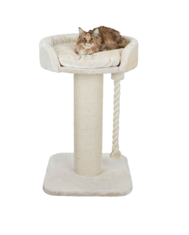 Klara XXL 100 cm scratching post with bed for large cats