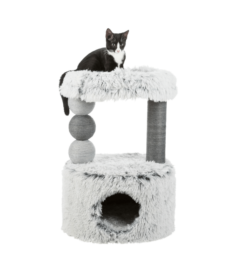 Harvey Scratcher 73 cm with cat bed