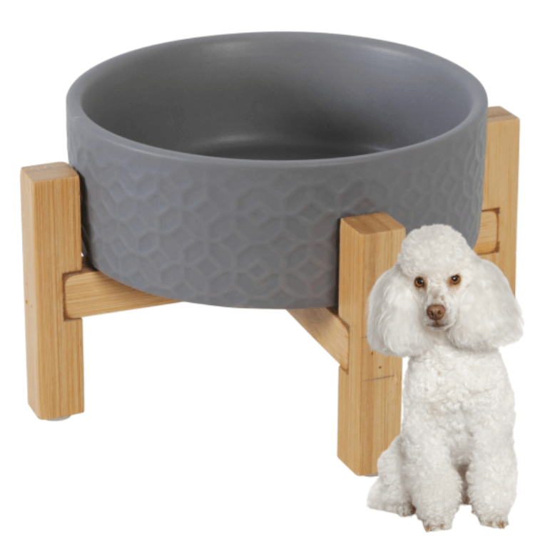 ZOLUX KERAMO SOLO miska ceramiczna szara 300 ml