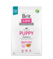 BRIT CARE PUPPY SALMON - STYP FIGHT FOR PUCCESSION