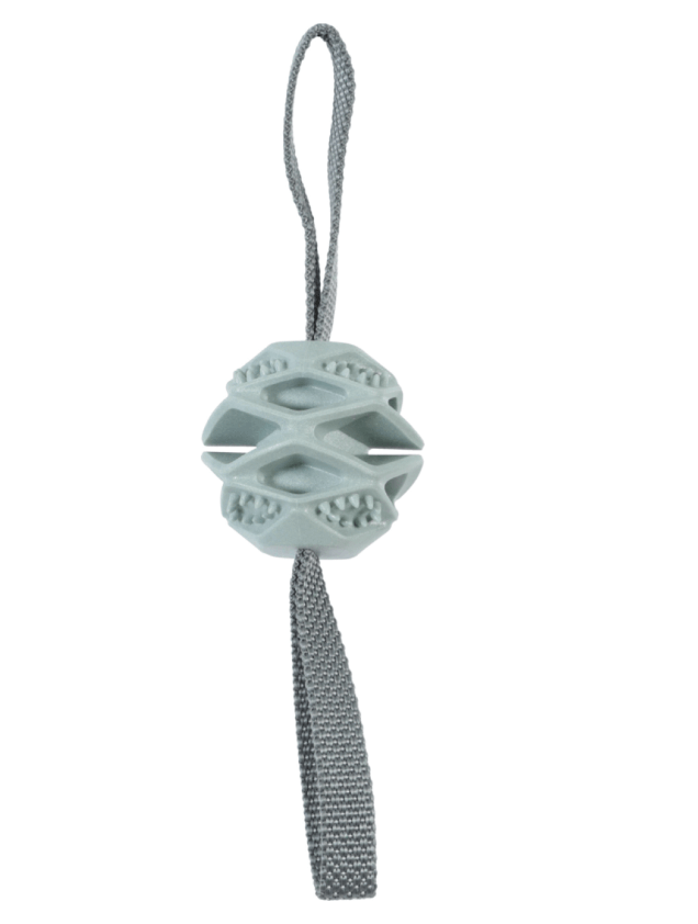 Zolux ball tpr toy for a dog