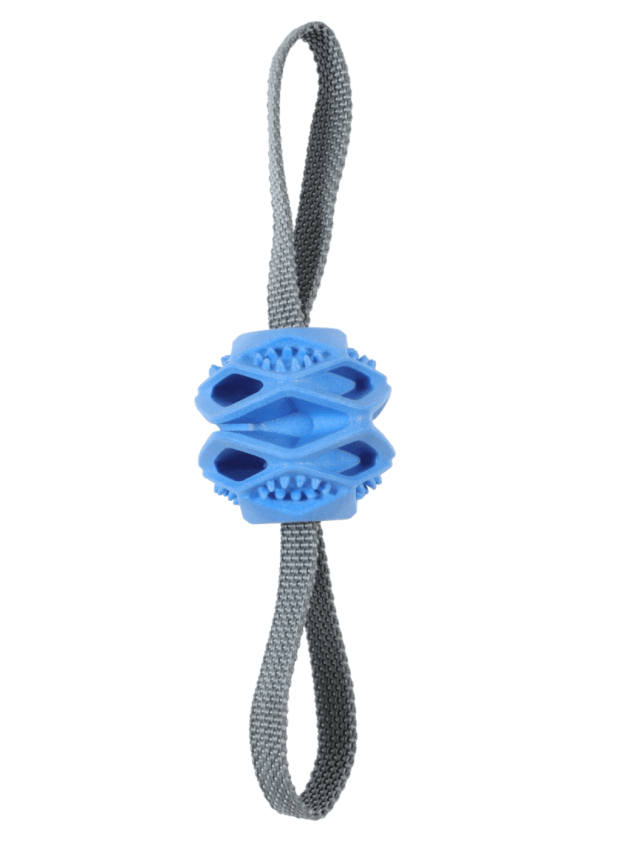 Zolux ball tpr toy for a dog