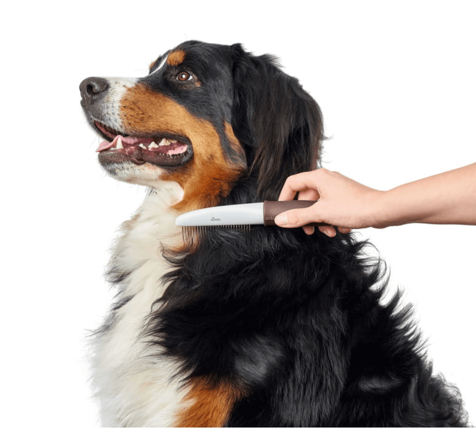 Hunter comb with rotary teeth for a dog and a cat