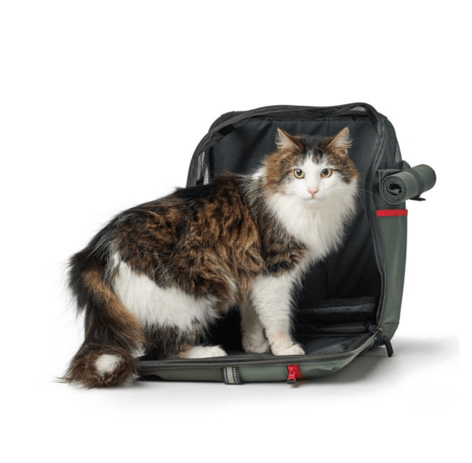 Hunter Orlando backpack for a dog and a cat up to 7 kg