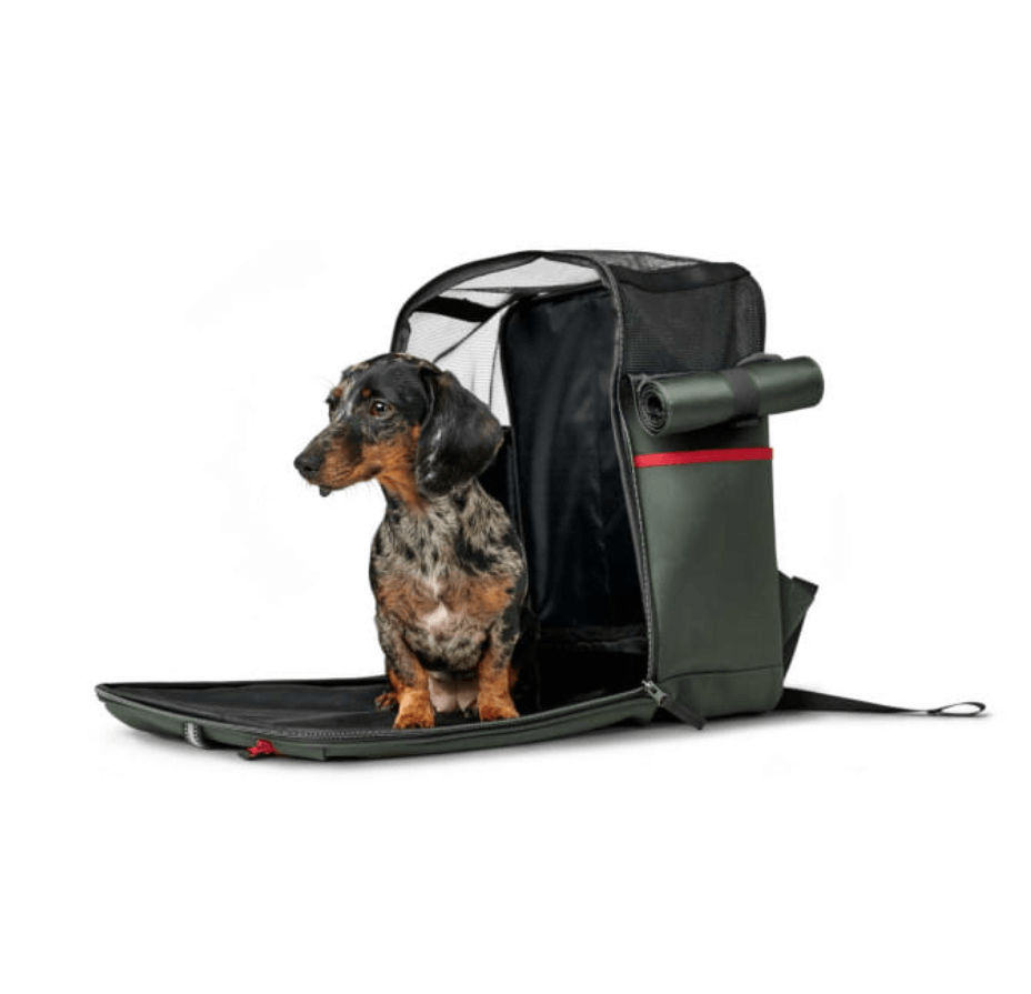 Hunter Orlando backpack for a dog and a cat up to 7 kg