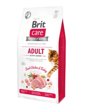 Brit Care Cat Activity Support - chicken and turkey, non -free karma