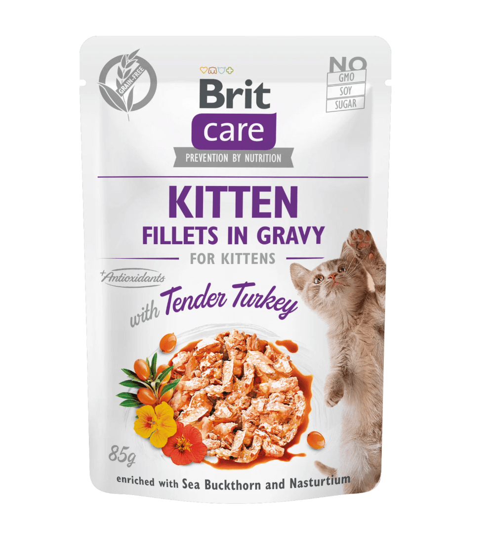 Brit Care Kitten Turkey 85g – bezzbożowa karma dla kociąt