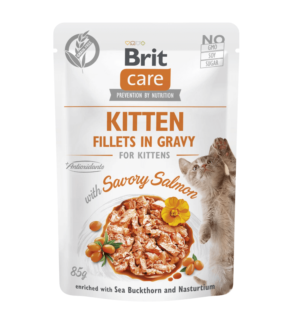 Brit Care Kitten Salmon 85g – mokra karma bezzbożowa