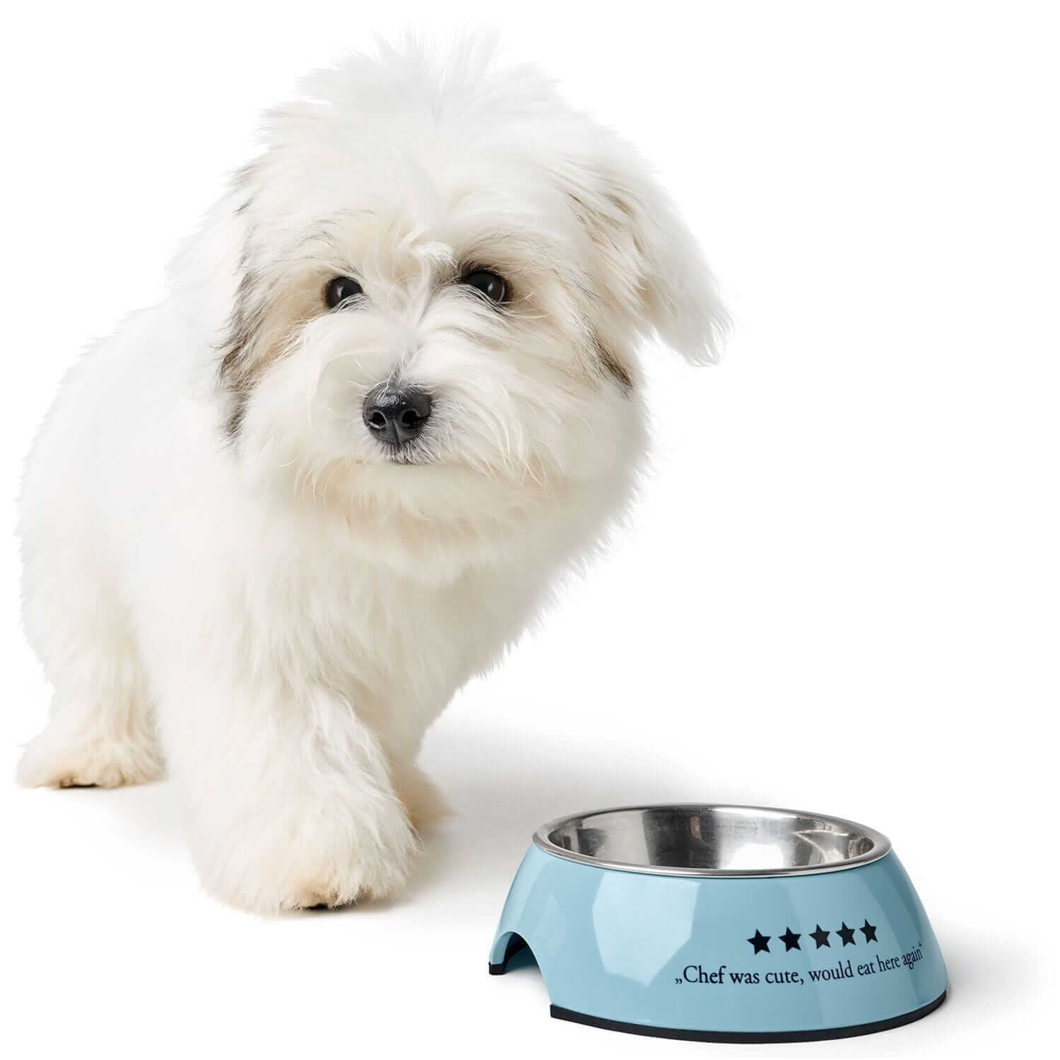 Hunter Miska Mayfair Niebieska dla Psa – Melaminowa