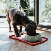 Hunter silicone pad under the CHESTER bowls 48x30 cm