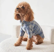 Striped Dog Shirt - 100% Cotton, Hand Sewn, Dark Blue
