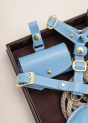 A luxurious set of dog accessories - handmade, premium