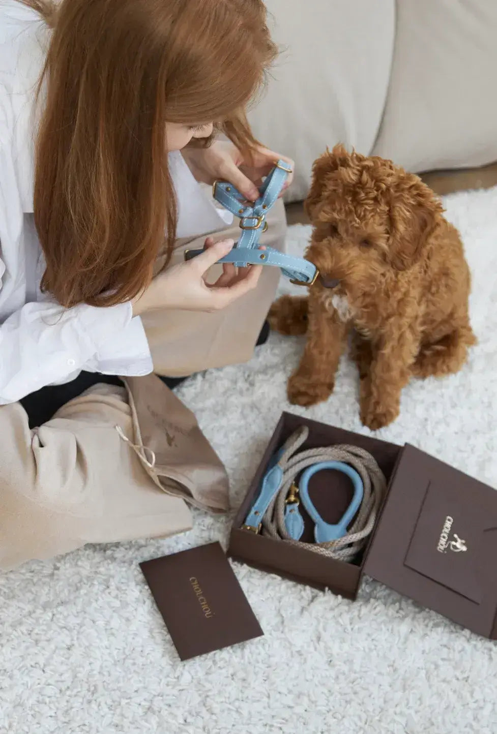 A luxurious set of dog accessories - handmade, premium