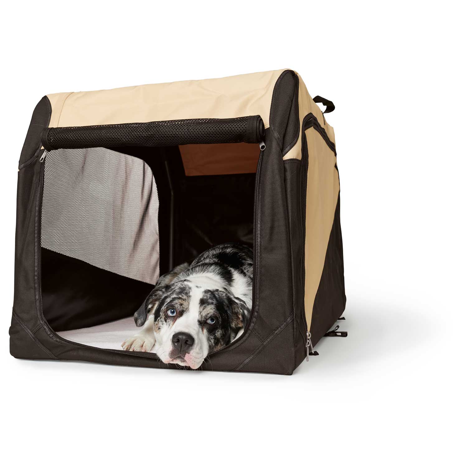 Hunter Transporter for a dog folding for travel and home