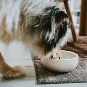 Hunter Lund ceramic bowl - stylish and stable