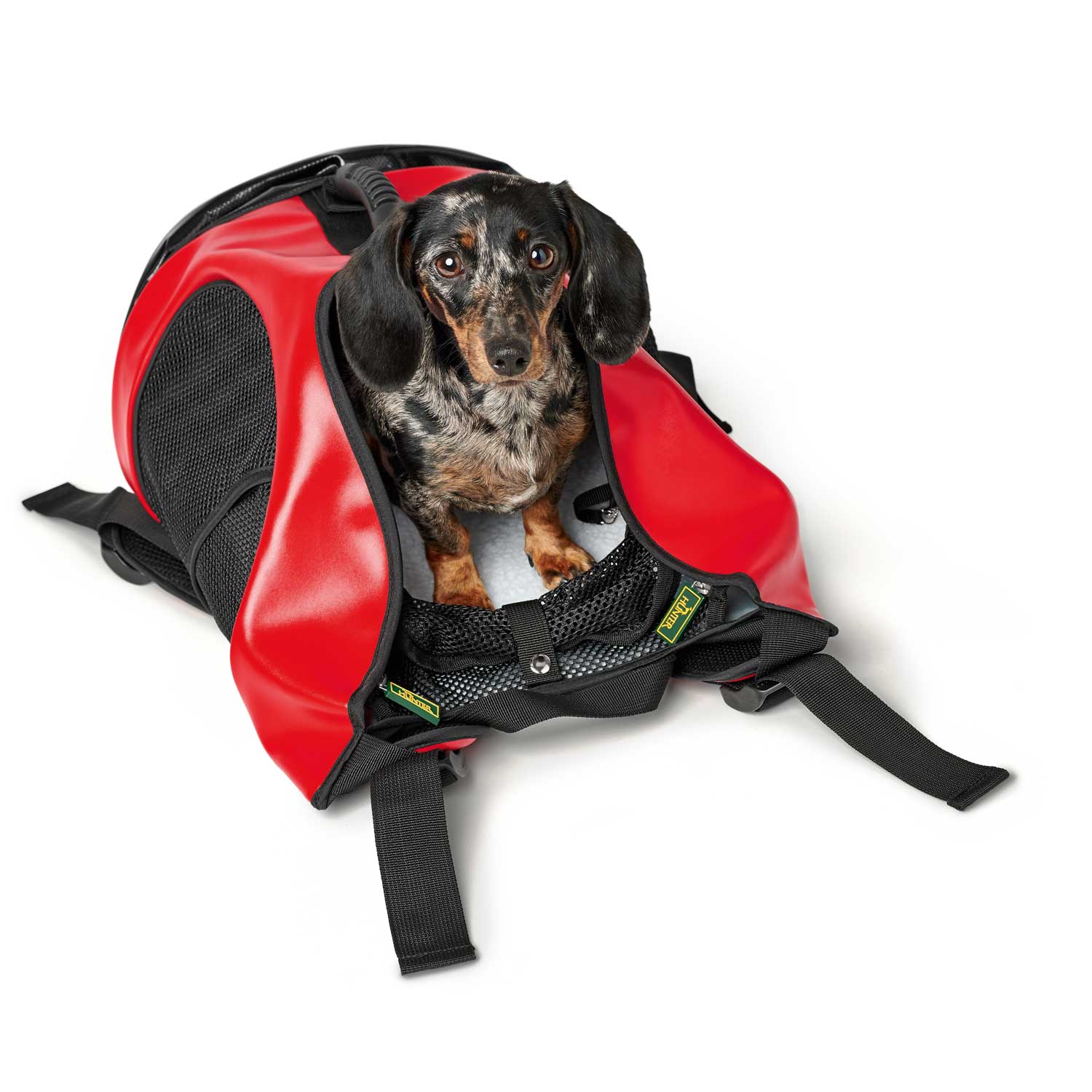 Hunter Taylor 3in1 transport backpack for a dog and a cat