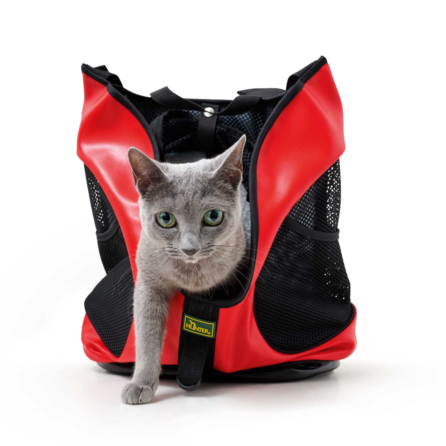Hunter Taylor 3in1 transport backpack for a dog and a cat