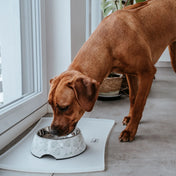 Hunter silicone pad under the selection bowls