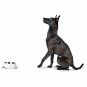 Hunter Baku miska dla psa melaminowa ze stali nierdzewnej