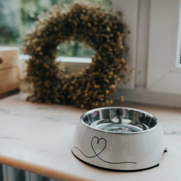 Hunter Valencia miska melaminowa dla psa ze stali