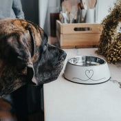 Hunter Valencia miska melaminowa dla psa ze stali