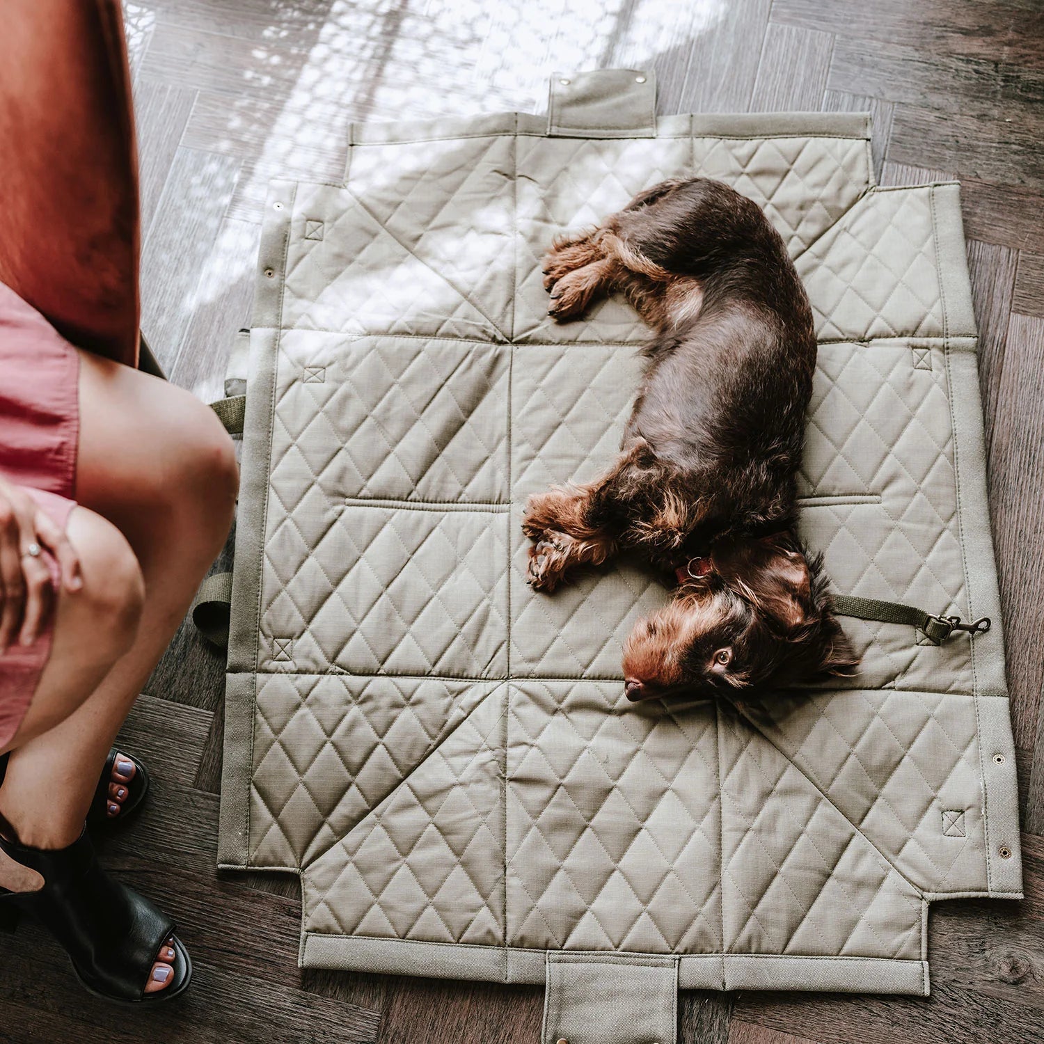 Hunter transport bag and 2in1 Madison blanket