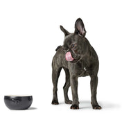 Hunter Lund ceramic bowl - stylish and stable