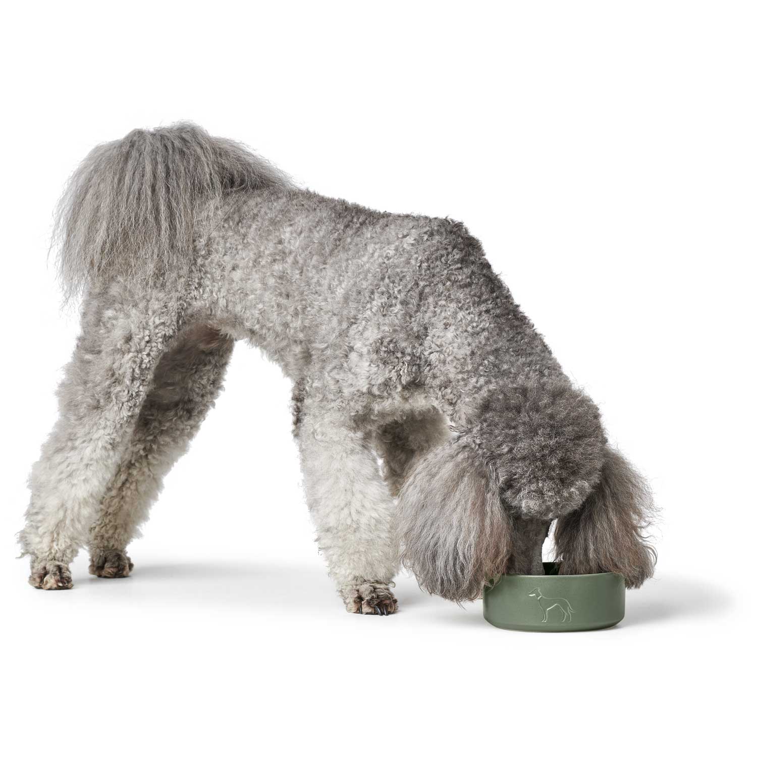 Hunter Ceramic Bowl for Dog Osby - elegant style