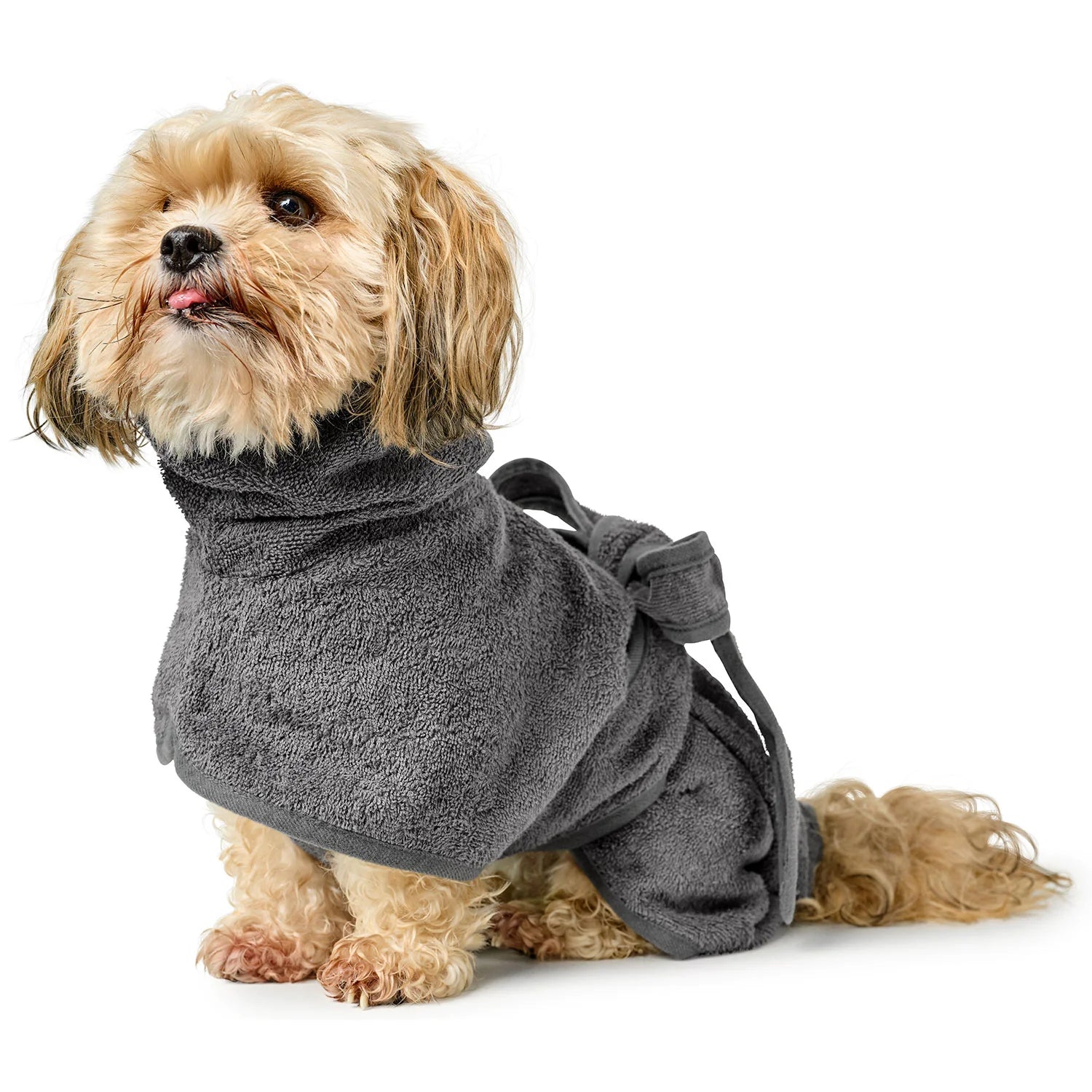 Hunter Basque for the dog Riga - dirty gray, cotton
