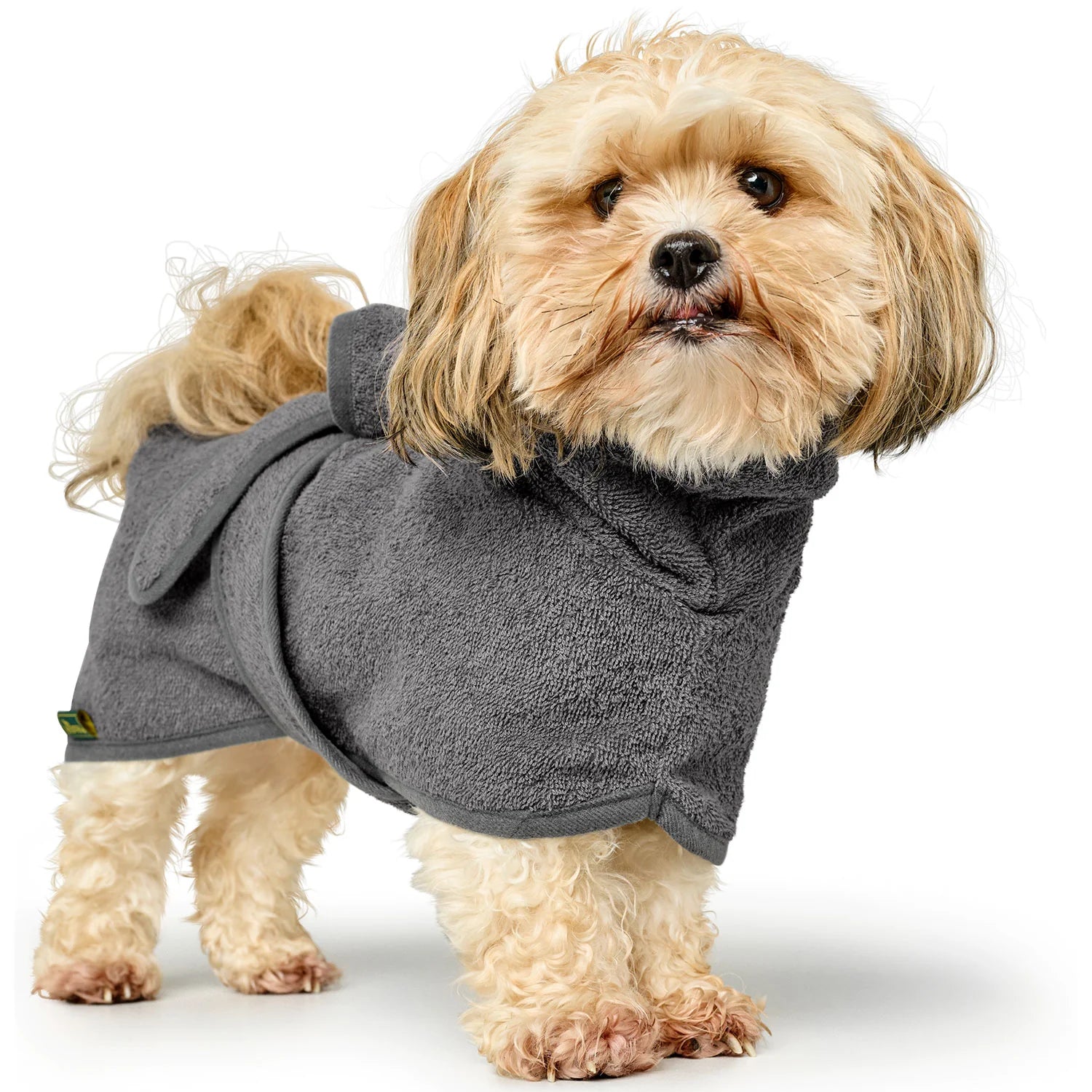 Hunter Basque for the dog Riga - dirty gray, cotton