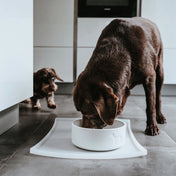 Hunter silicone pad under the selection bowls