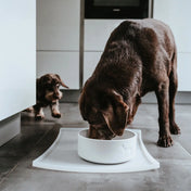 Hunter Miska ceramiczna dla psa Osby – elegancki styl