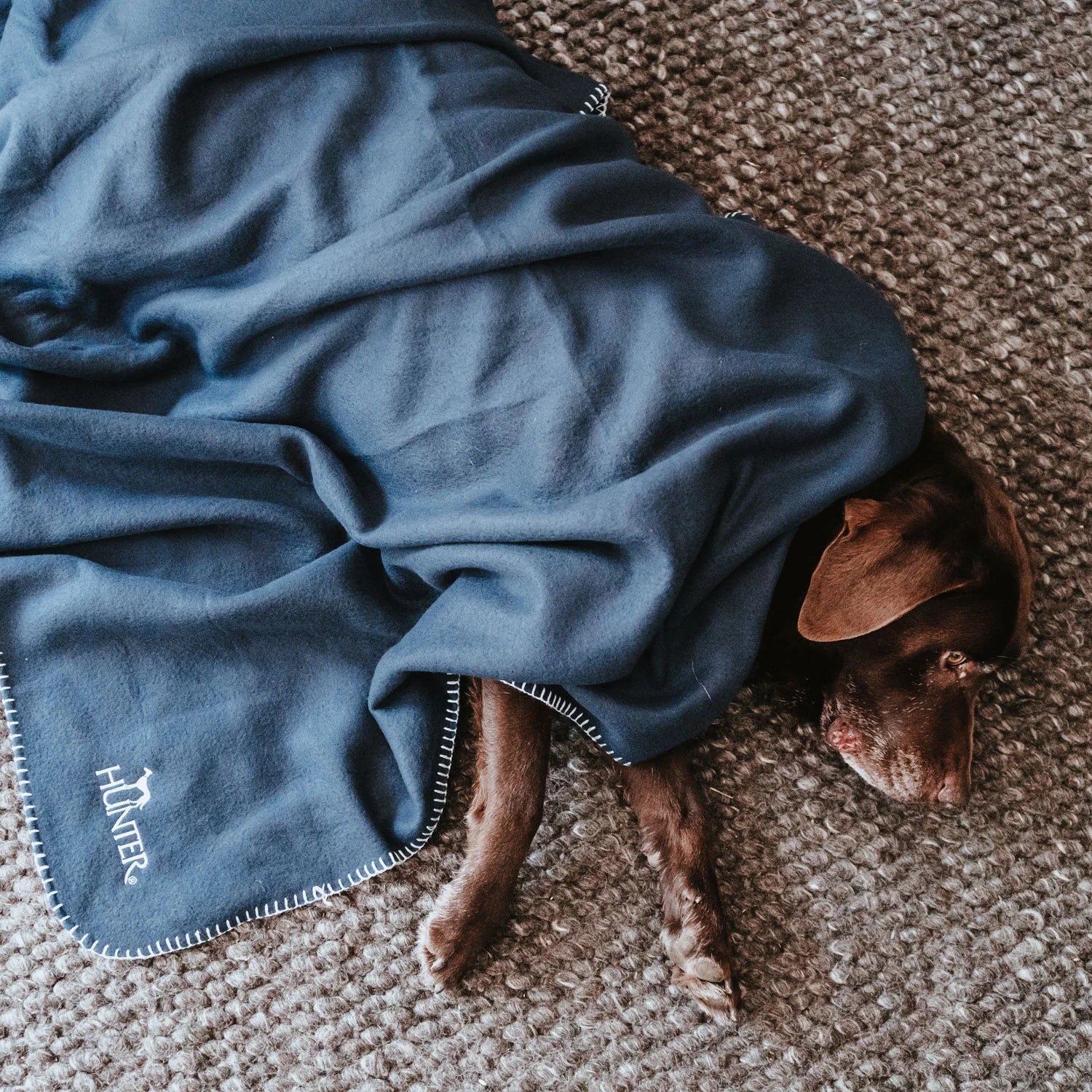 Hunter Koc for Dog Casper XXL - soft, versatile and durable