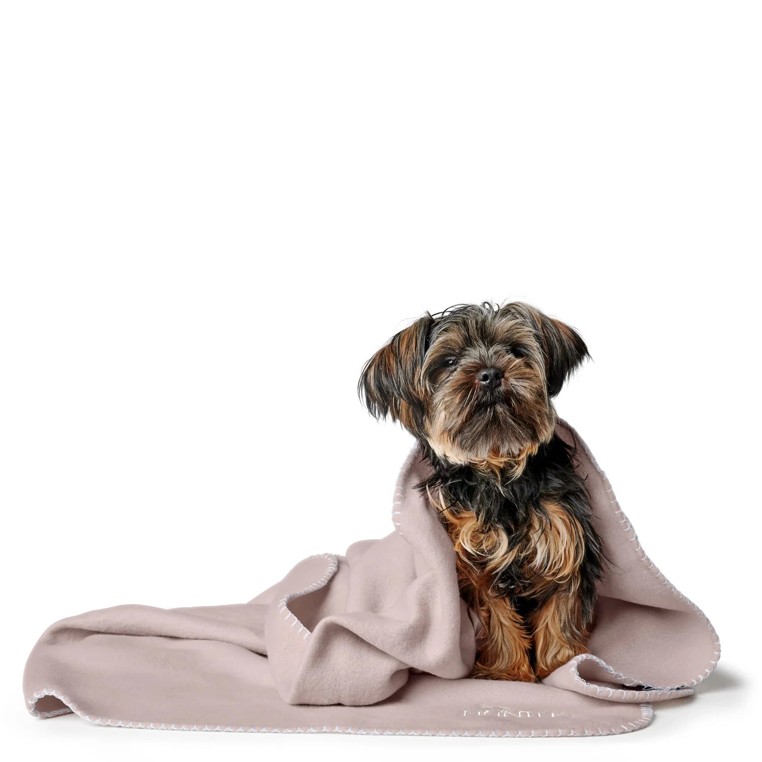 Hunter koc dla psa Casper XXL – miękki, wszechstronny i trwały