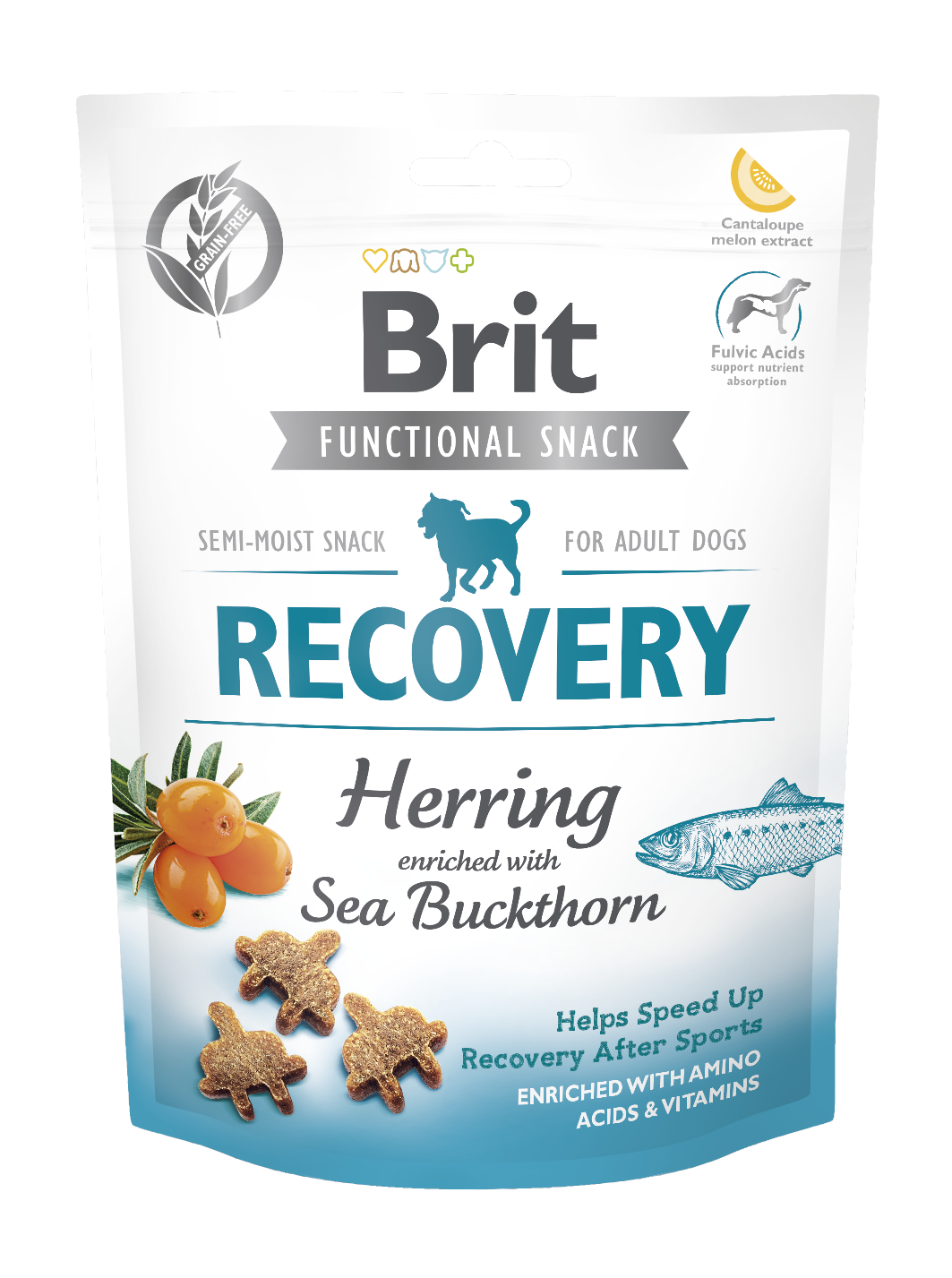 Brit Functional Recovery Herring - regenerative delicacies