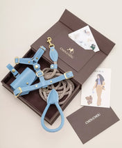 A luxurious set of dog accessories - handmade, premium