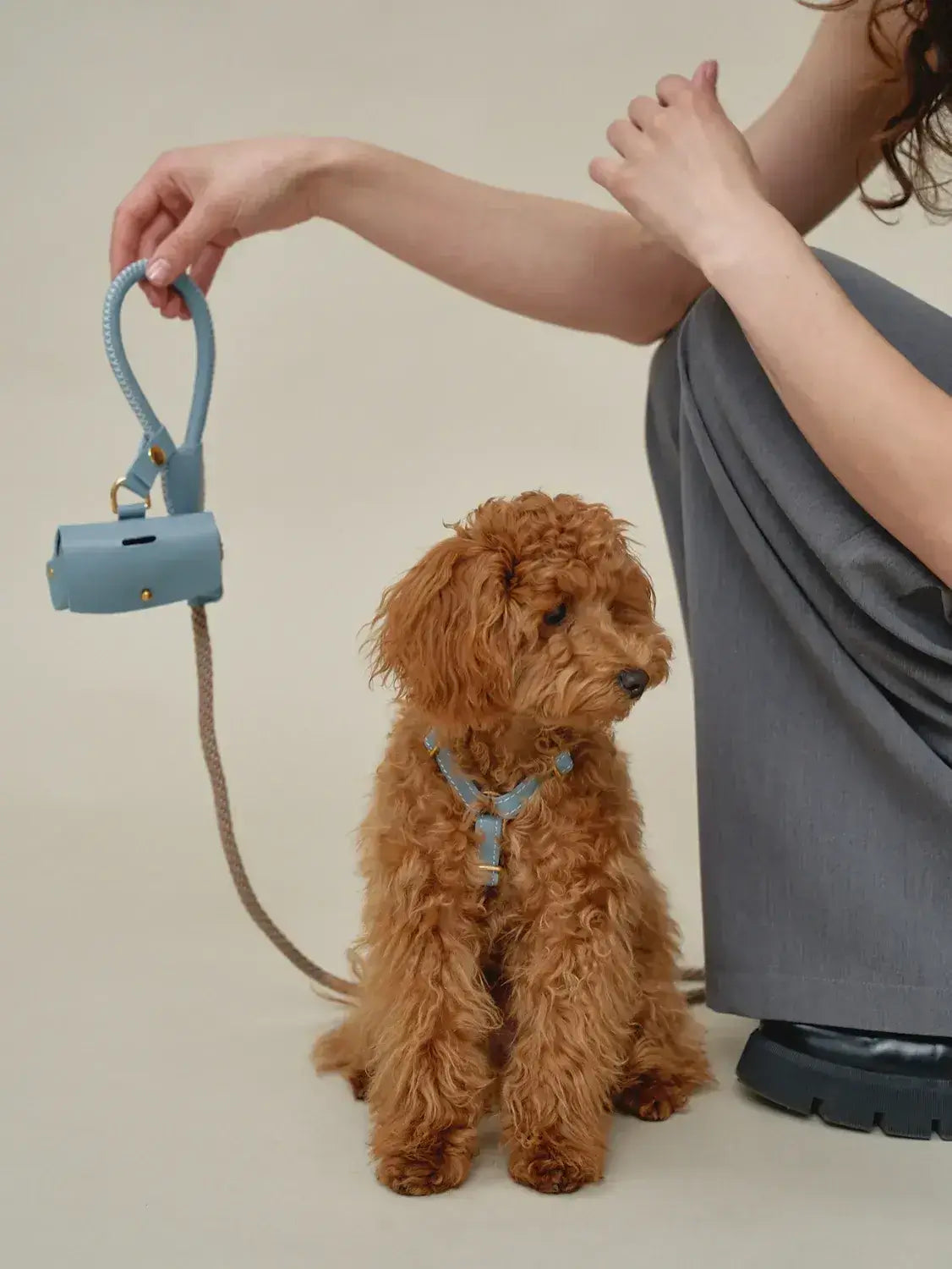 A luxurious set of dog accessories - handmade, premium