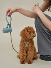 A luxurious set of dog accessories - handmade, premium