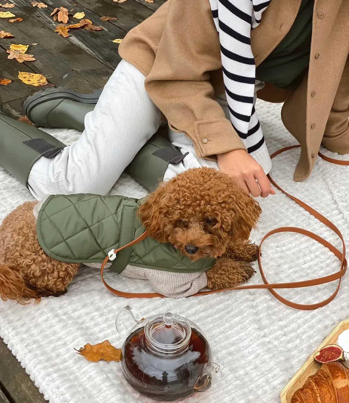 Dog leash "BioThane" - light brown with white