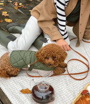 Dog leash "BioThane" - light brown with white