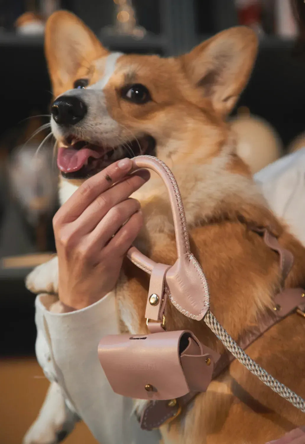 "Classy" Bag Case - comfort and elegance on every walk